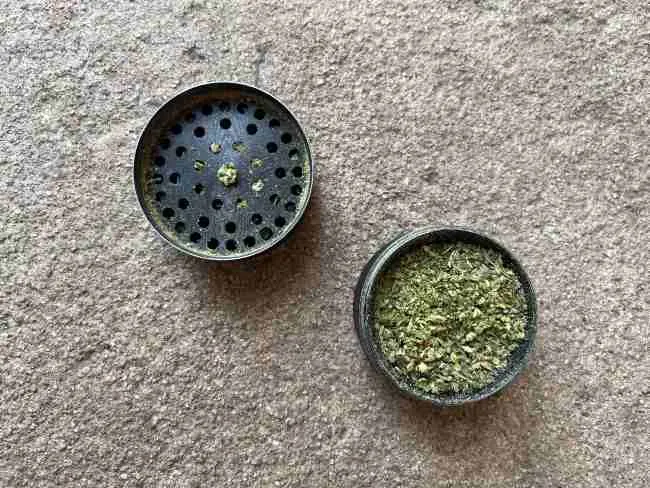 a grinder full of green ground up cannabis and the grinder top on a concrete surface