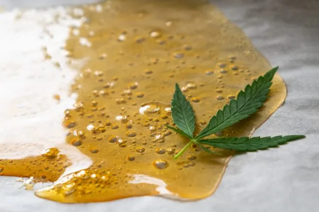 Golden-yellow concentrate substance on white parchment paper next to green cannabis leaf