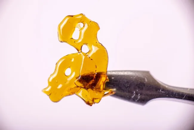 a piece of shatter, a flat yellow-brown sheet-like piece of dabs with holes in it, is stuck on a metal dabber tool