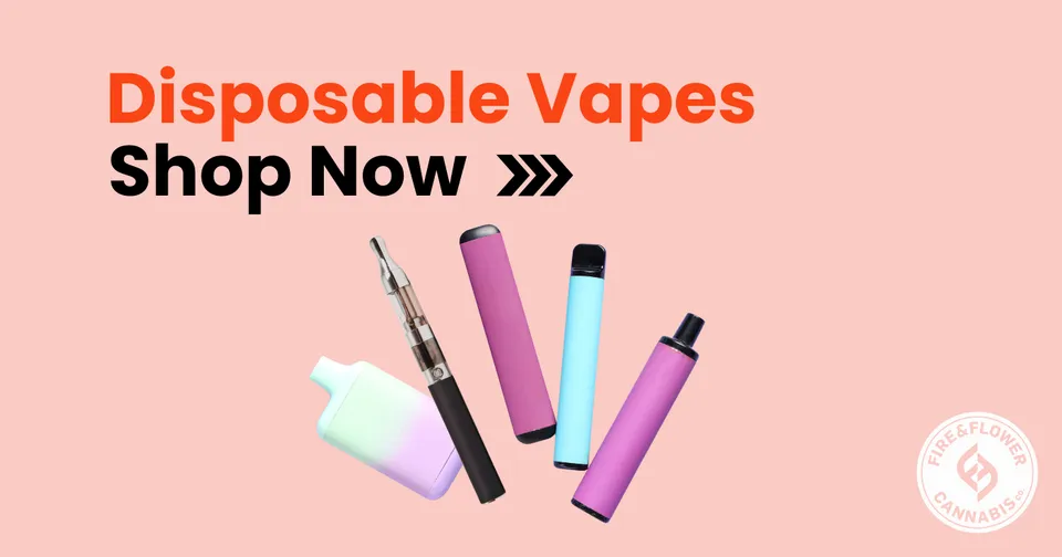 Various types of vapes on a pink background with text that reads: 