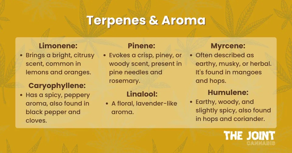 An infographic titled 