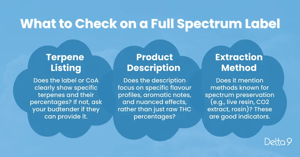 An infographic titled 