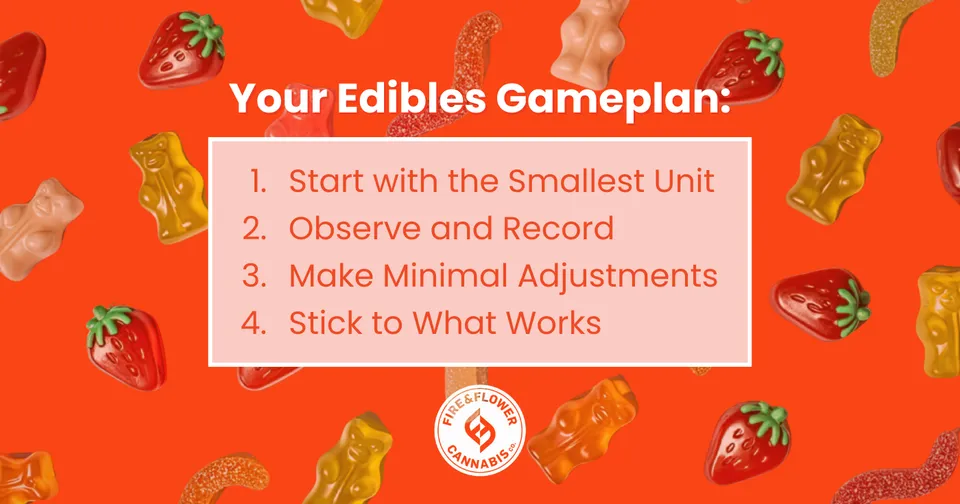 An infographic describing 