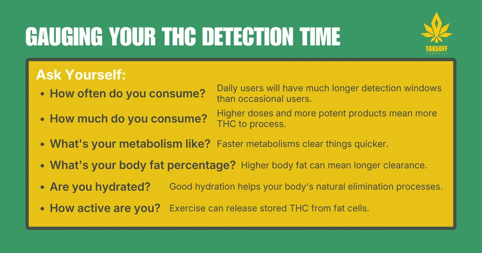 An infographic titled: 