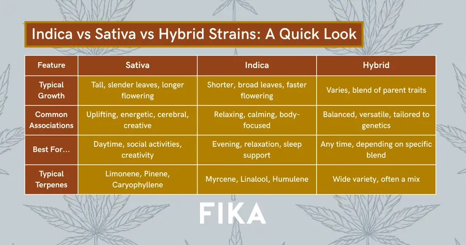 What Are Hybrid Strains? A Simple Explanation | FIKA Cannabis