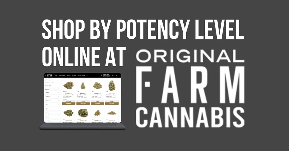 An infographic that reads: 