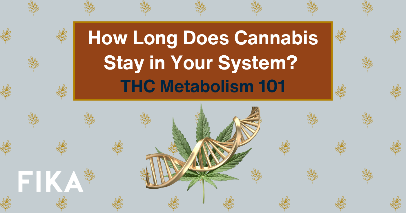 How Long Does Cannabis Stay in Your System? THC Metabolism 101 | FIKA  Cannabis