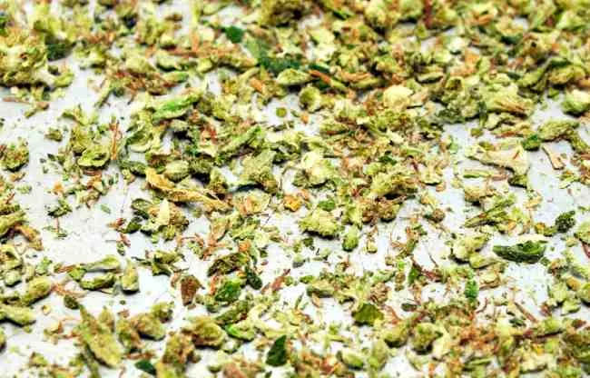 bits of cannabis on a table, including leaves and stems