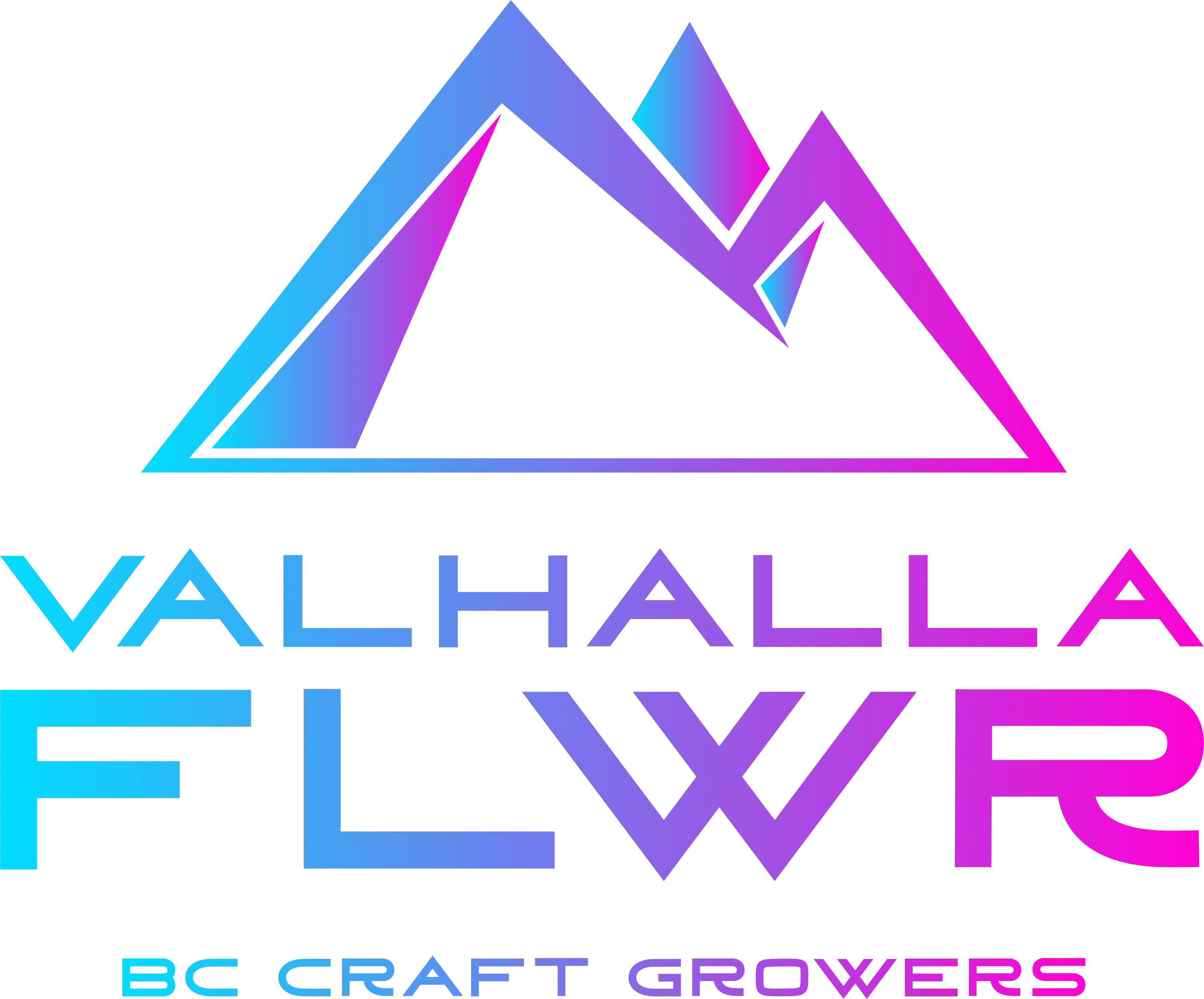 Valhalla logo