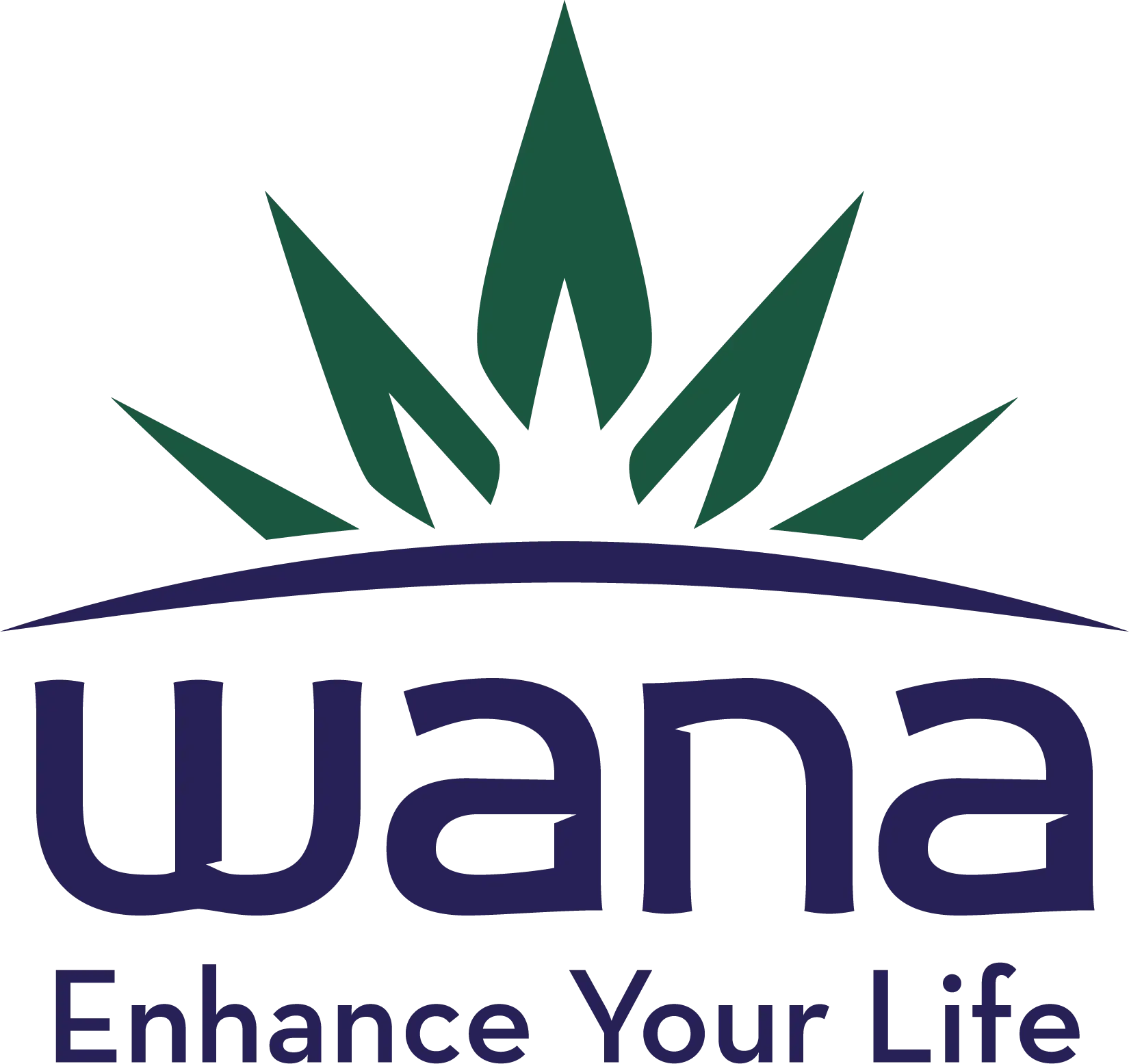 Wana logo