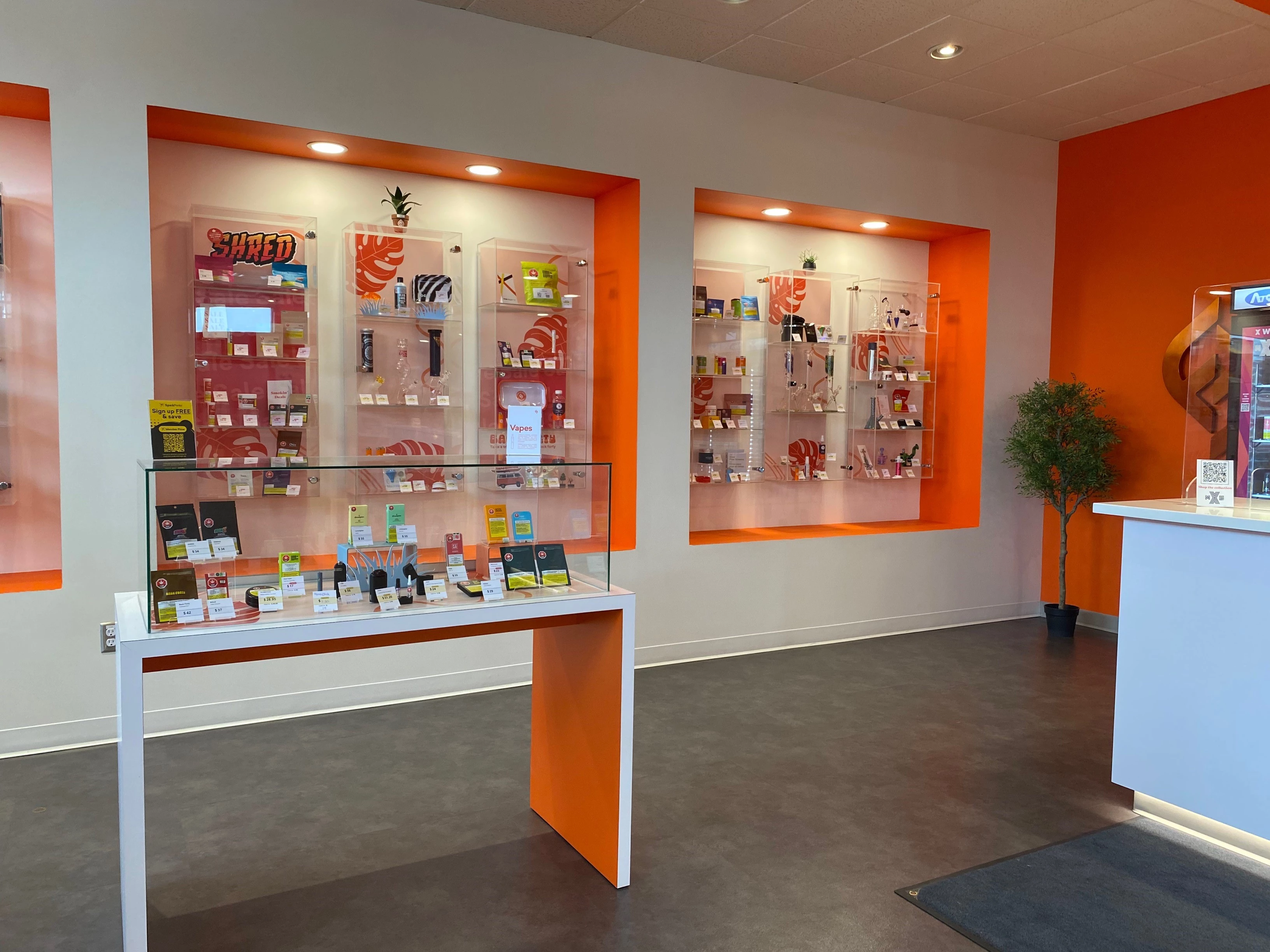 elfbar nachfüll pod läuft aus VAPO - Pukekohe Vape Shop & E-Cigarettes - Reviews, Photos & Phone Number -  Updated May 2026 - Vape Shops in Pukekohe Town, Auckland main image 1