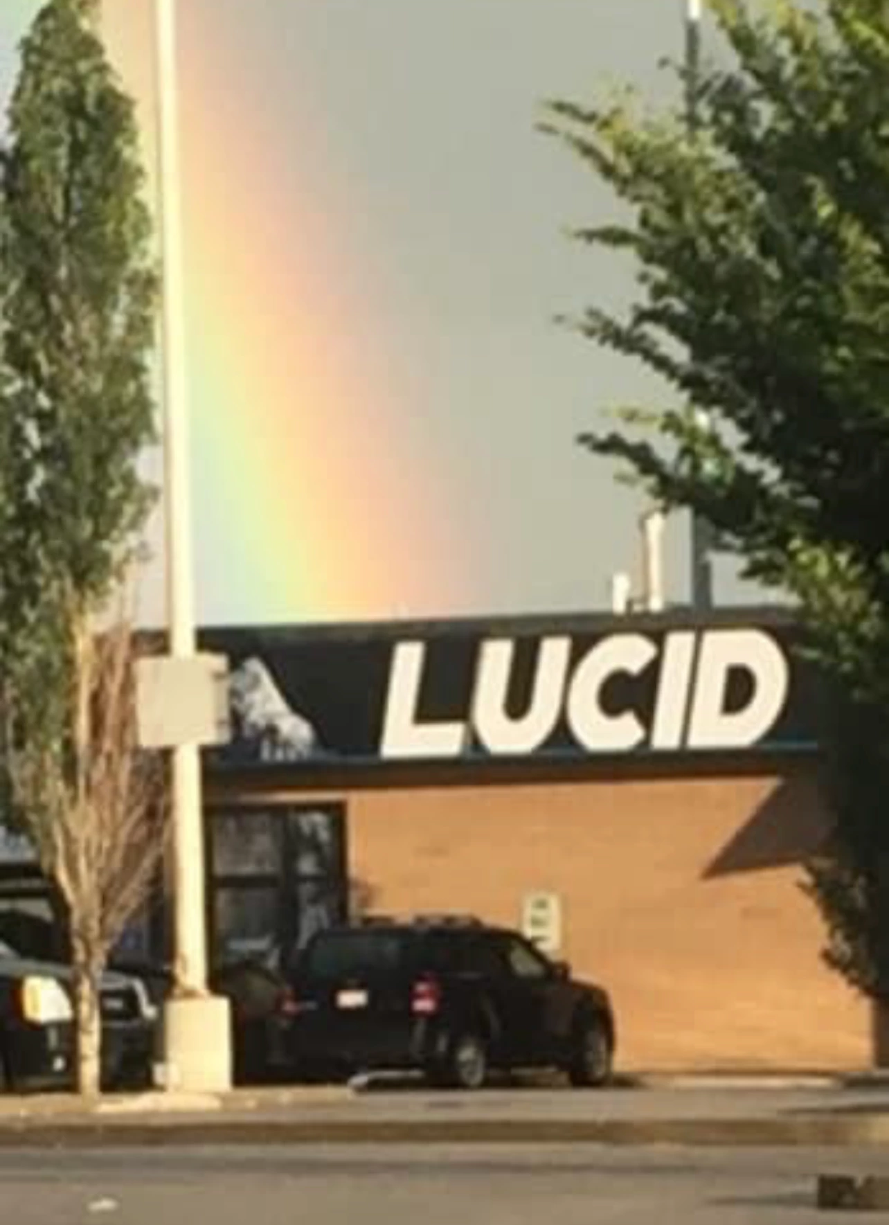 Spruce Grove King Image 3