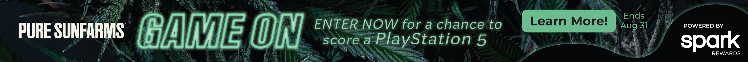 Banner advertisement