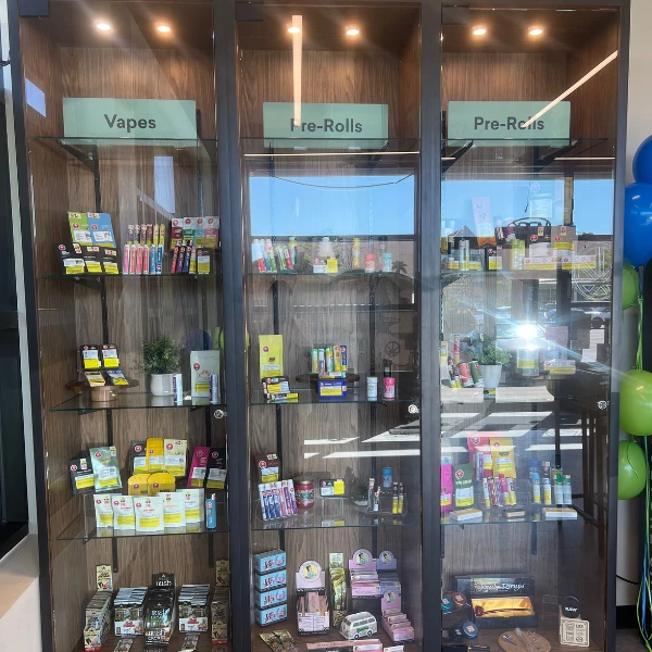 elfbar nachfüll pod läuft aus ARK Smoke Shop main image 1