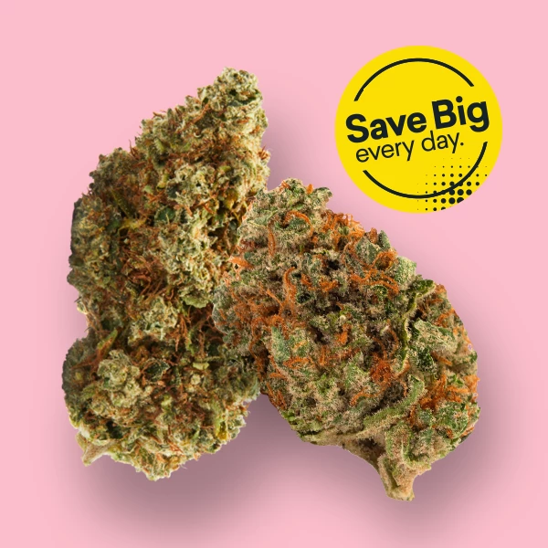 Broken Coast logo