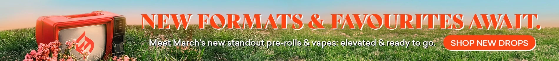 Banner advertisement