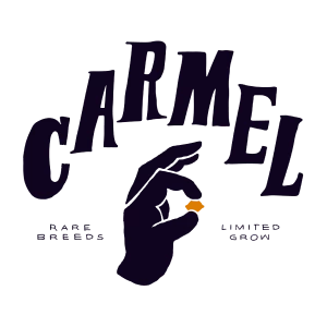 Carmel logo